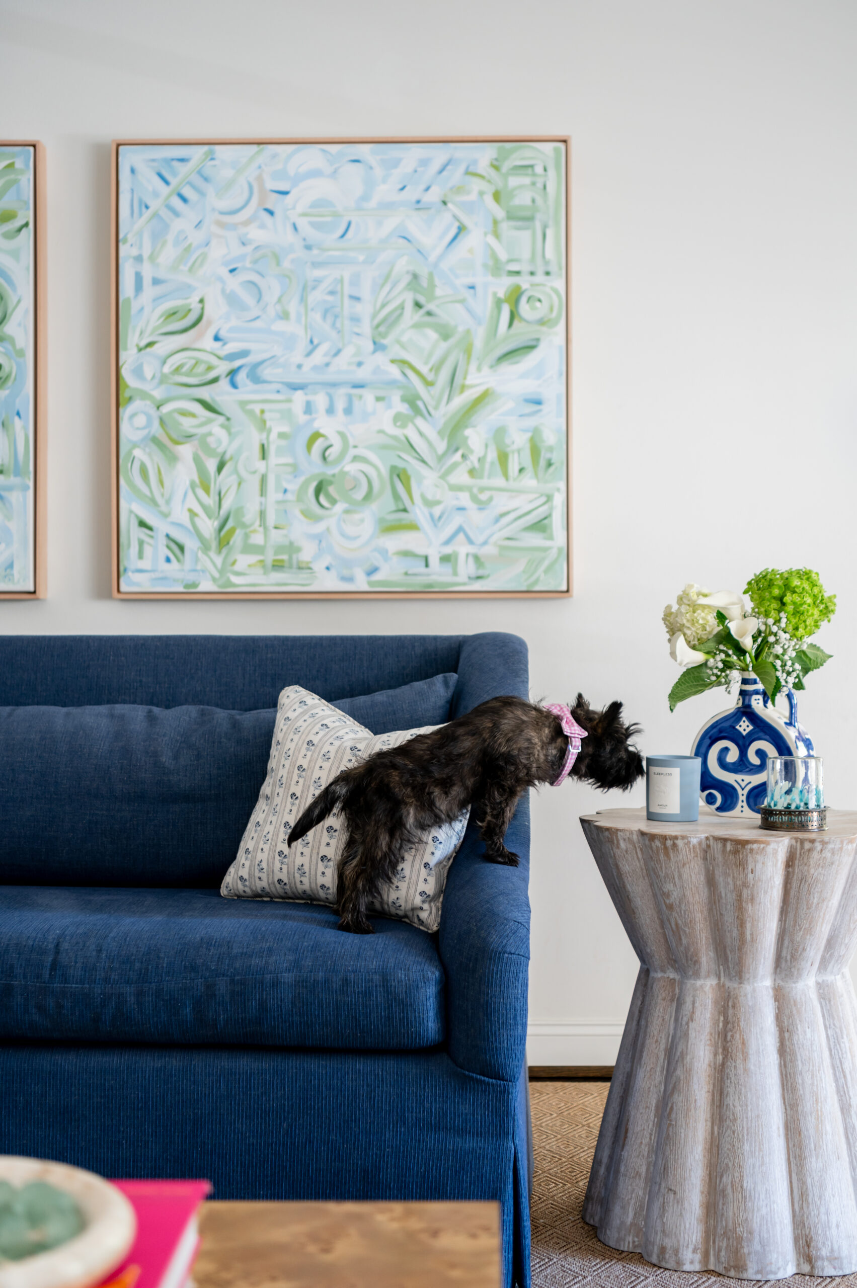 Dog sniffing candle on a blue couch during a southern home interior design photoshoot