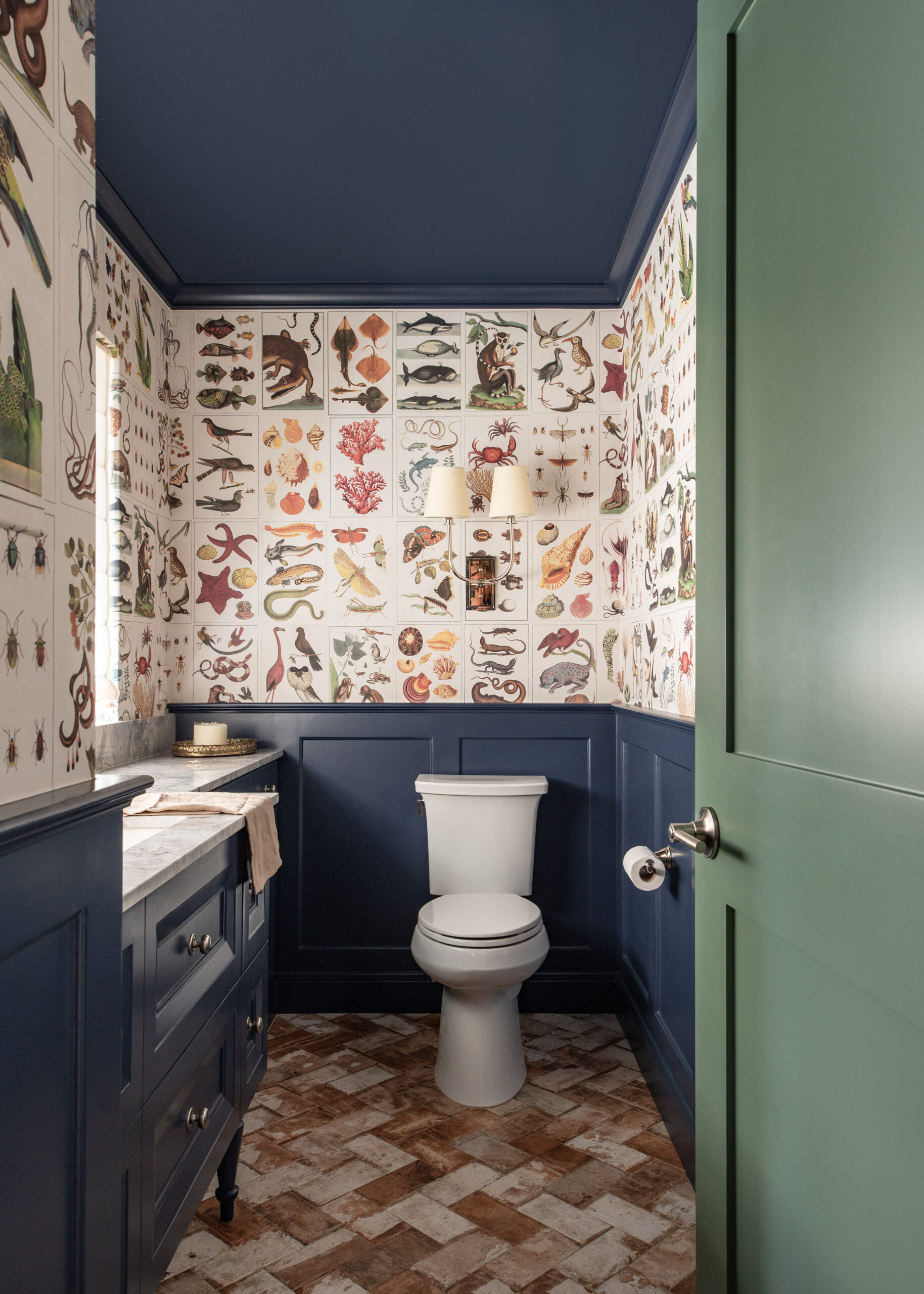 Blue painted bathroom with shell wallpaper