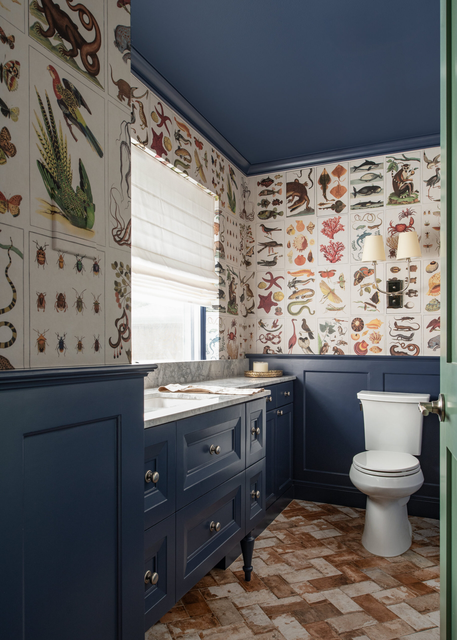 Blue painted bathroom with shell wallpaper