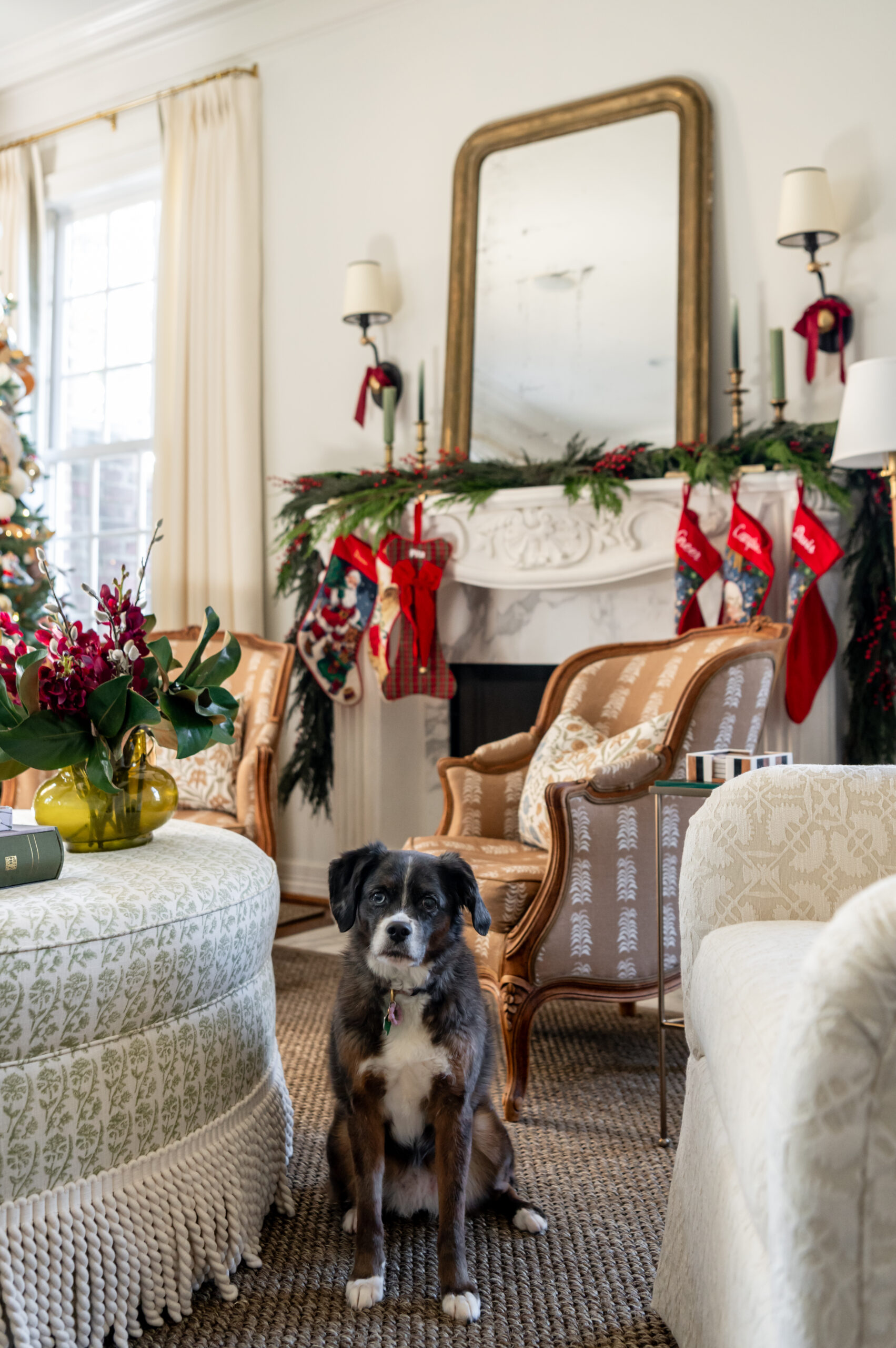 A playful moment with a dog sitting in front of a fireplace, showcasing seasonal interior design with stockings, greenery, and festive décor adding warmth to the space.